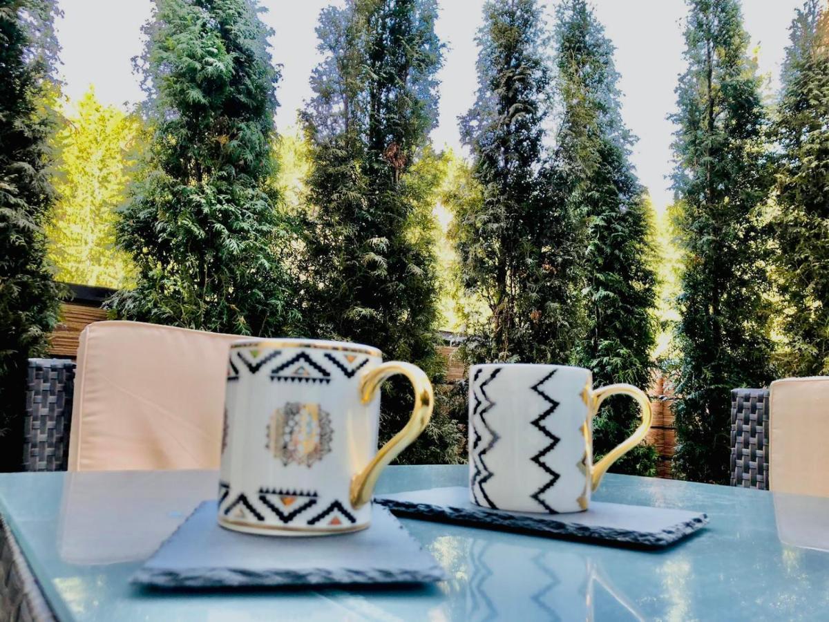 Maya Luxury Residence Poiana Brašov Exteriér fotografie