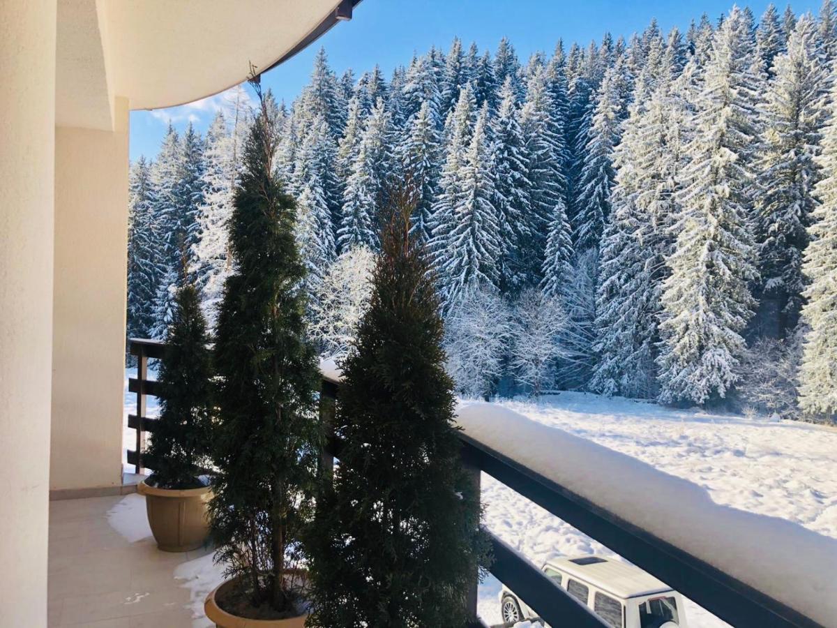 Maya Luxury Residence Poiana Brašov Exteriér fotografie