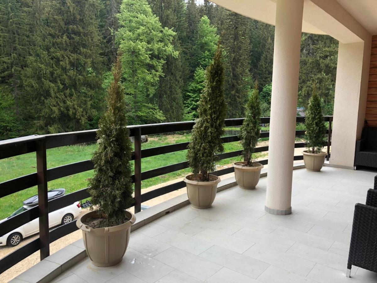 Maya Luxury Residence Poiana Brašov Exteriér fotografie