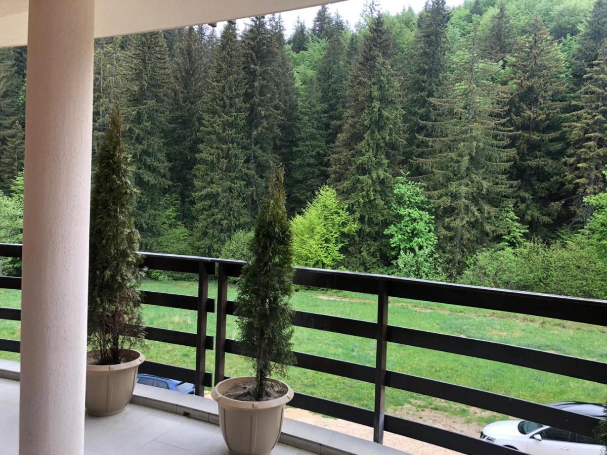 Maya Luxury Residence Poiana Brašov Exteriér fotografie